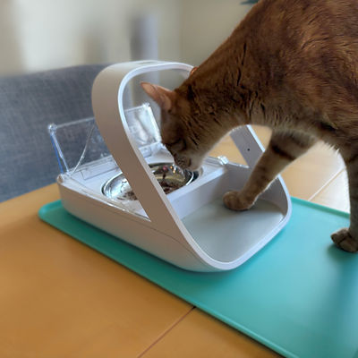 SureFeed Microchip Pet Feeder