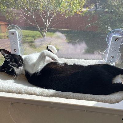 Window Perch Cat Bed