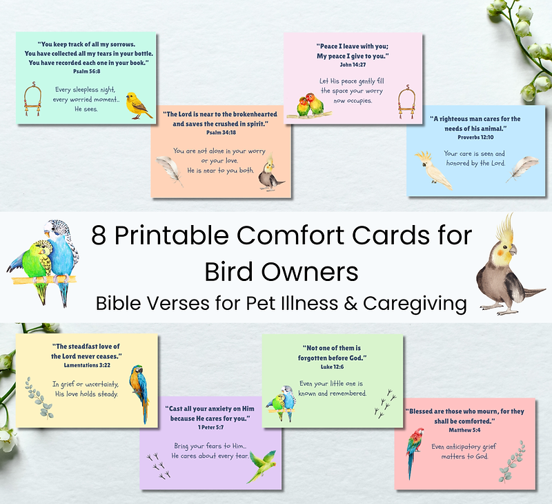 Comforting Scripture Cards for Bird Caregivers